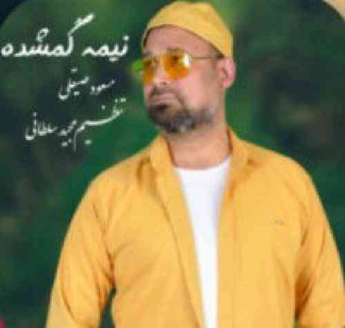 مسعود صیغلی نیمه گمشده